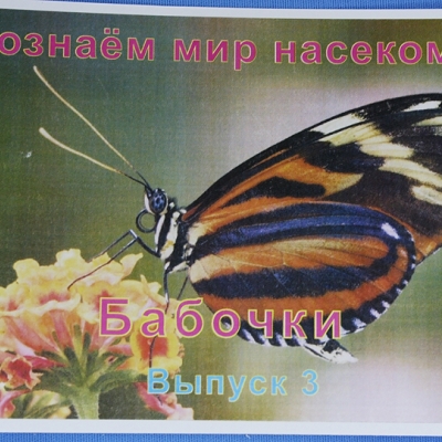 Комплект учебного пособия для дошкольников Познаём мир насекомых: Бабочки 3 выпуск