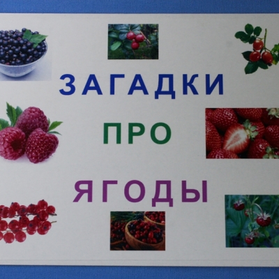 Купить Комплект учебного пособия для дошкольников Загадки про ягоды