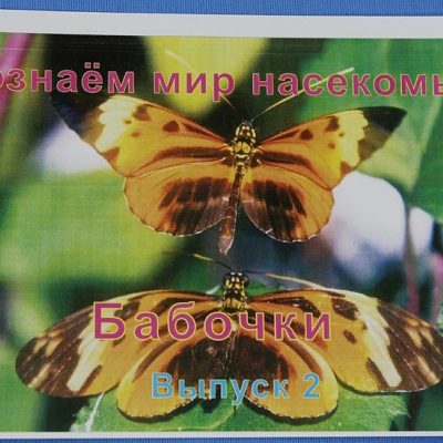 Комплект учебного пособия для дошкольников Познаём мир насекомых Бабочки 2 выпуск