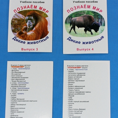 Комплект учебного пособия для дошкольников Познаём мир Дикие животные 4 выпуск