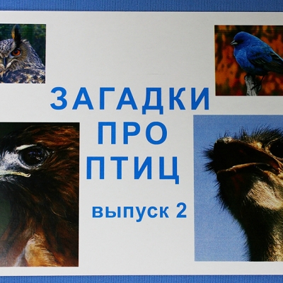 Купить Комплект учебного пособия для дошкольников Загадки про птиц выпуск 2