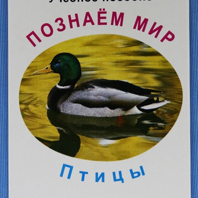 Комплект учебного пособия для дошкольников Познаём мир Птицы 3 выпуск