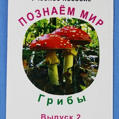 Комплект учебного пособия для дошкольников Познаём мир Грибы 2 выпуск