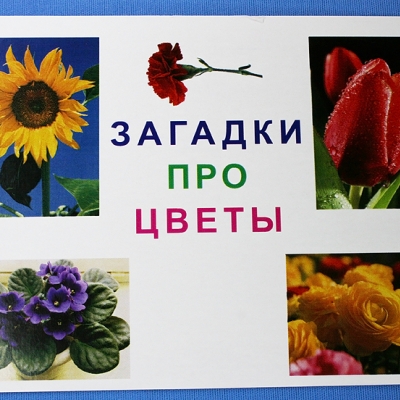 Купить Комплект учебного пособия для дошкольников Загадки про цветы