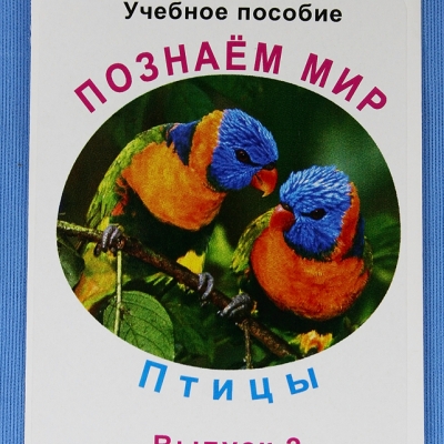 Комплект учебного пособия для дошкольников Познаём мир Птицы 2 выпуск
