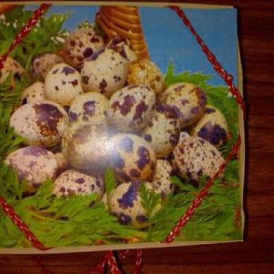 Купить Подарочная коробка для фасовки перепелиных яиц 20 штук