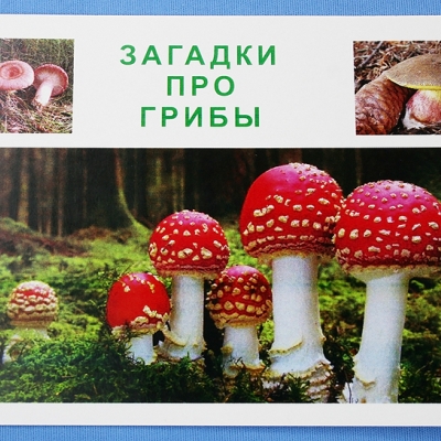 Загадки про грибы Купить Комплект учебного пособия для дошкольников