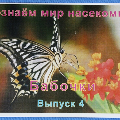 Комплект учебного пособия для дошкольников Познаём мир насекомых: Бабочки 4 выпуск