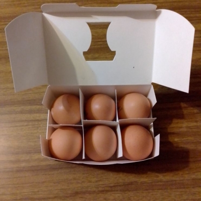 Купить Коробка для фасовки куриных яиц 6 штук